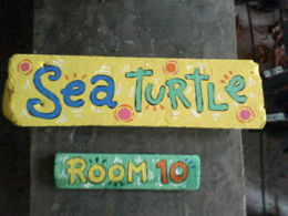 sea-turtle